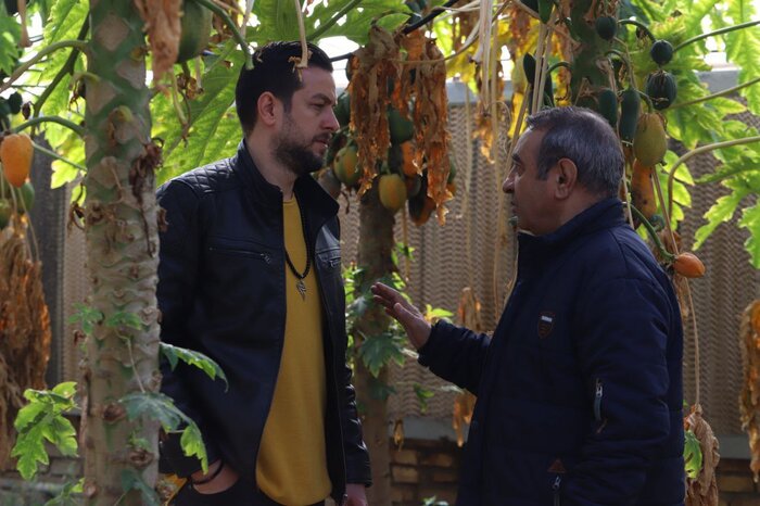 «پاپایا» به سالرنو ایتالیا رفت