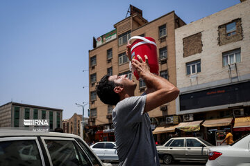 افزایش میزان رطوبت و شرجی هوا در استان بوشهر تداوم دارد