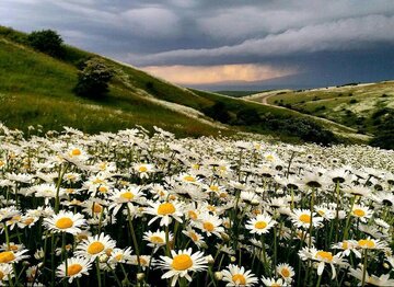 دمای هوای اردبیل تا اواسط هفته جاری خنک و مه‌آلود خواهد بود