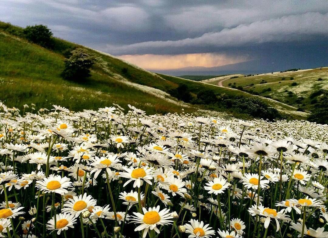 دمای هوای اردبیل تا اواسط هفته جاری خنک و مه‌آلود خواهد بود