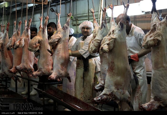 کشتارگاه آماده افتتاح چالوس معطل تامین زیرساخت ها +فیلم