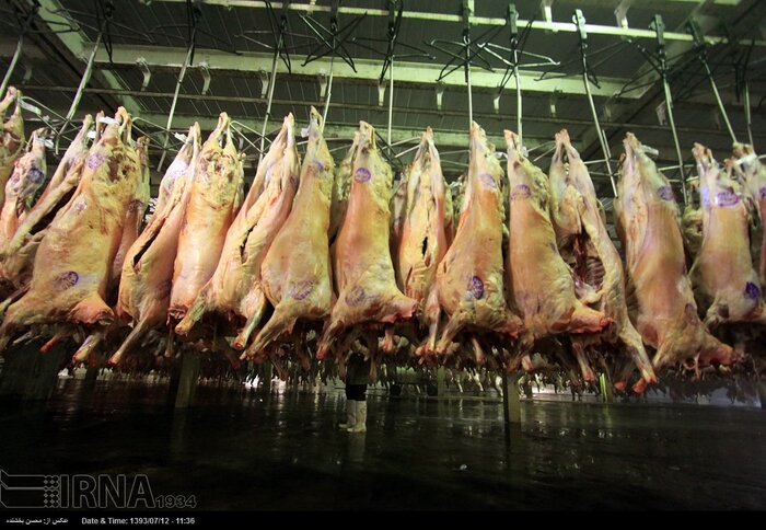 کشتارگاه آماده افتتاح چالوس معطل تامین زیرساخت ها +فیلم