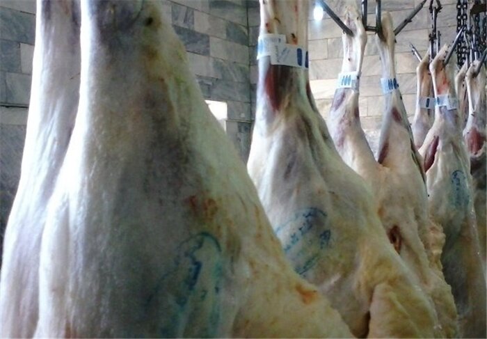 کشتارگاه آماده افتتاح چالوس معطل تامین زیرساخت ها +فیلم