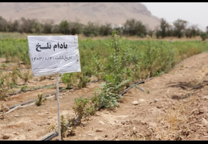 پنج میلیون اصله نهال در نهالستان شهرکرد تولید شد