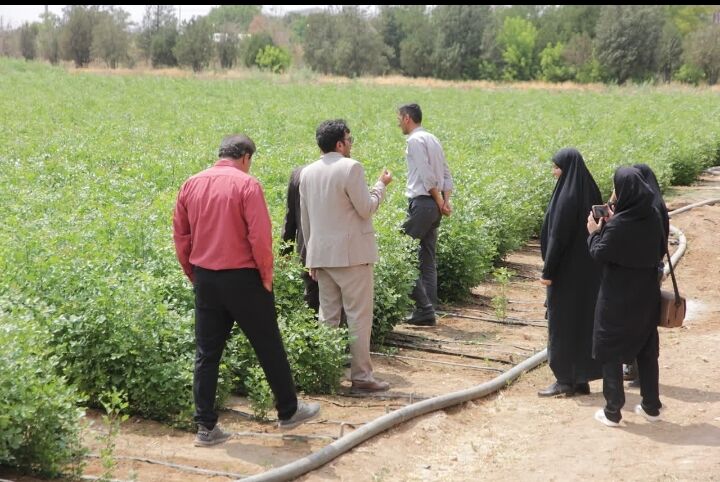 پنج میلیون اصله نهال در نهالستان شهرکرد تولید شد