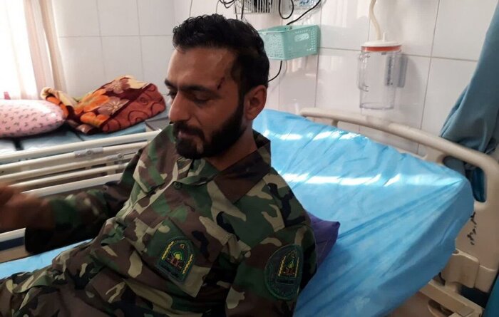 هر ماه یک جنگلبان مازندرانی در مبارزه با قاچاق چوب مجروح میشود