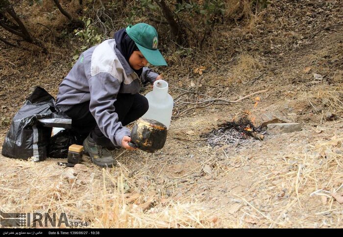 بانوان جنگلبان، مادران طبیعت