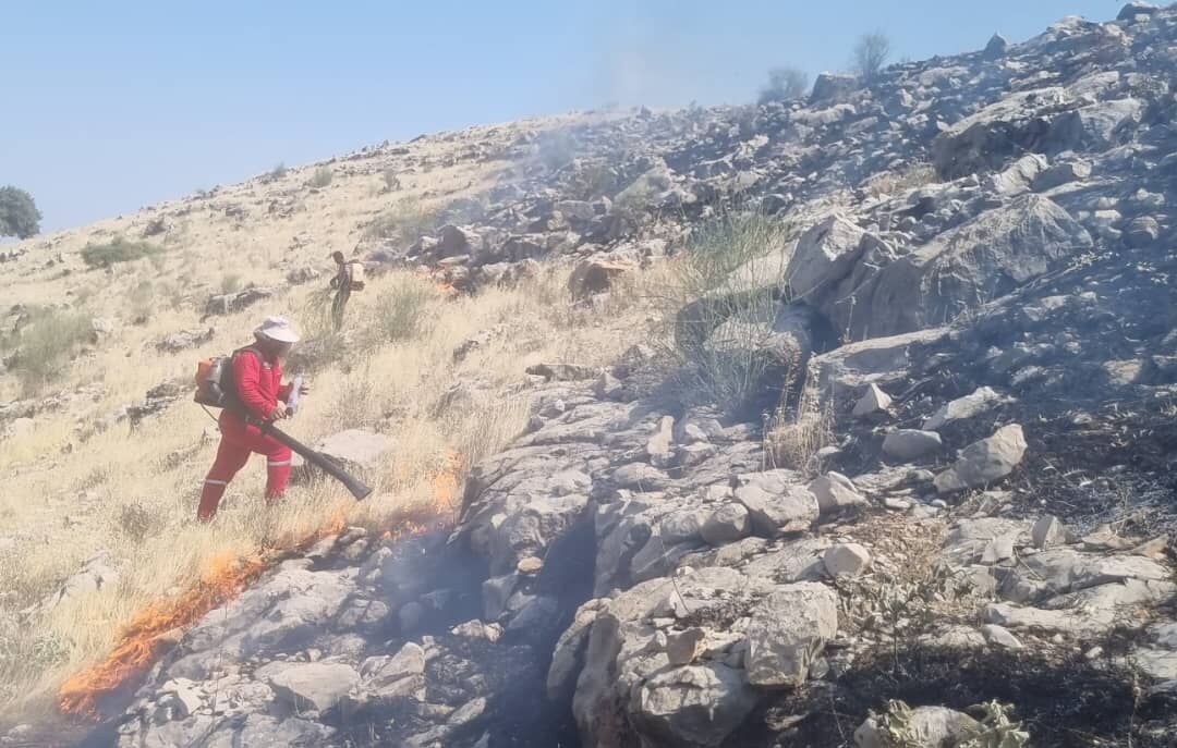 مشارکت نیم میلیون داوطلب برای حفاظت از جنگل‌ها و مراتع کشور