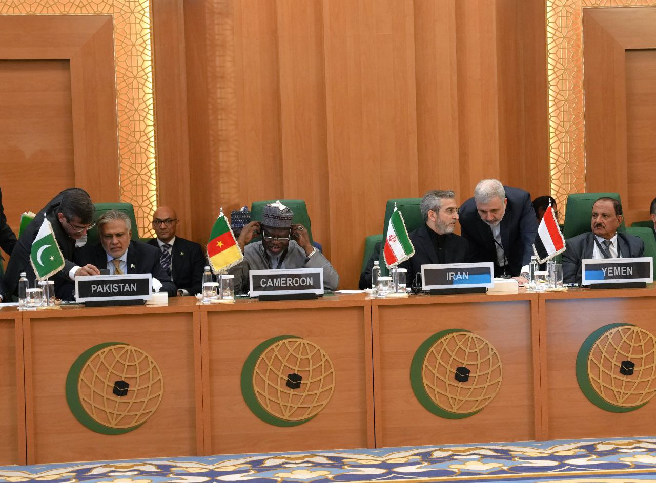 حضور باقریکنی در نشست فوقالعاده سازمان همکاری اسلامی