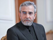 مواخذہ سے استثنیٰ نے صیہونی حکومت کو جرائم کے ارتکاب کے لیے مزید گستاخ بنا دیا ہے، ایران