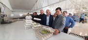 انتخاب مراغه و عجب‌شیر به عنوان الگوی نقش‌آفرینی تعاونی‌های روستایی کشور