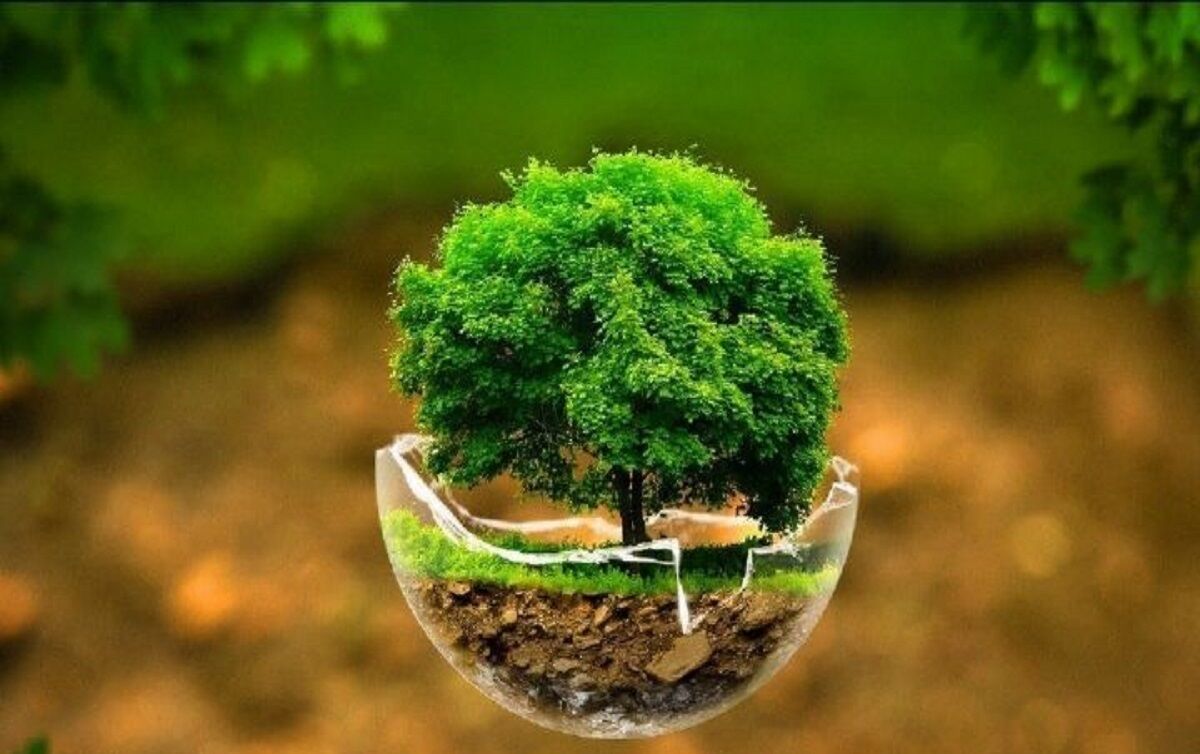 سیاستهای محیطزیستی در کشورهای توسعهیافته و در حال توسعه: چالشها و راهکارها