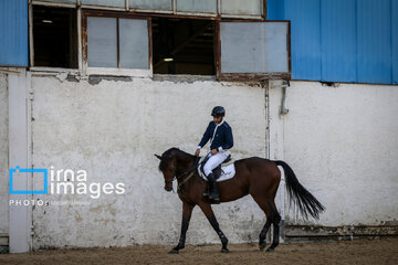 Competiciones de salto de caballo