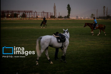 Competiciones de salto de caballo