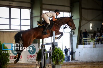 Competiciones de salto de caballo