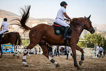 Competiciones de salto de caballo