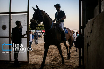 Competiciones de salto de caballo