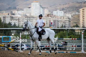 Competiciones de salto de caballo