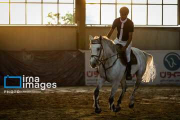 Competiciones de salto de caballo