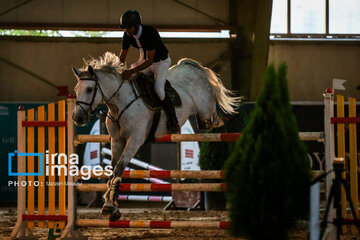 Competiciones de salto de caballo