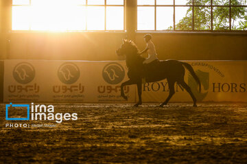 Competiciones de salto de caballo