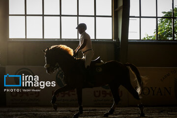 Competiciones de salto de caballo