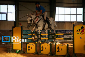 Competiciones de salto de caballo