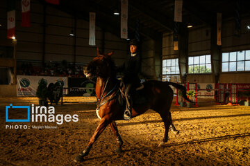 Competiciones de salto de caballo