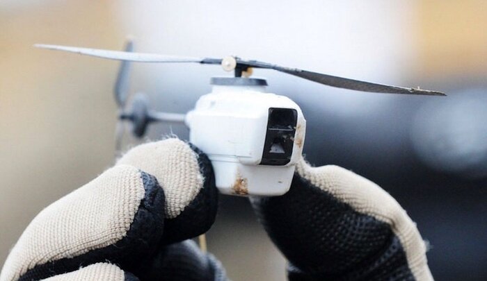 میزبانی پُرحرف و حدیث فرانسه تا قبول واقعیتها