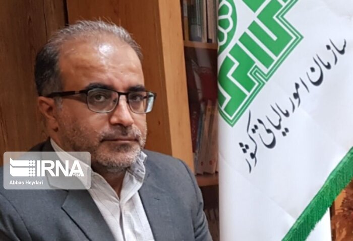 مالیات ۲۰ هزار نفر از مودیان مشاغل استان بوشهر صفر شد