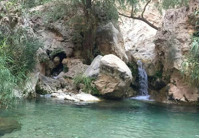 دره آکواریوم داراب، درهای سرسبز برای سفری پر از هیجان