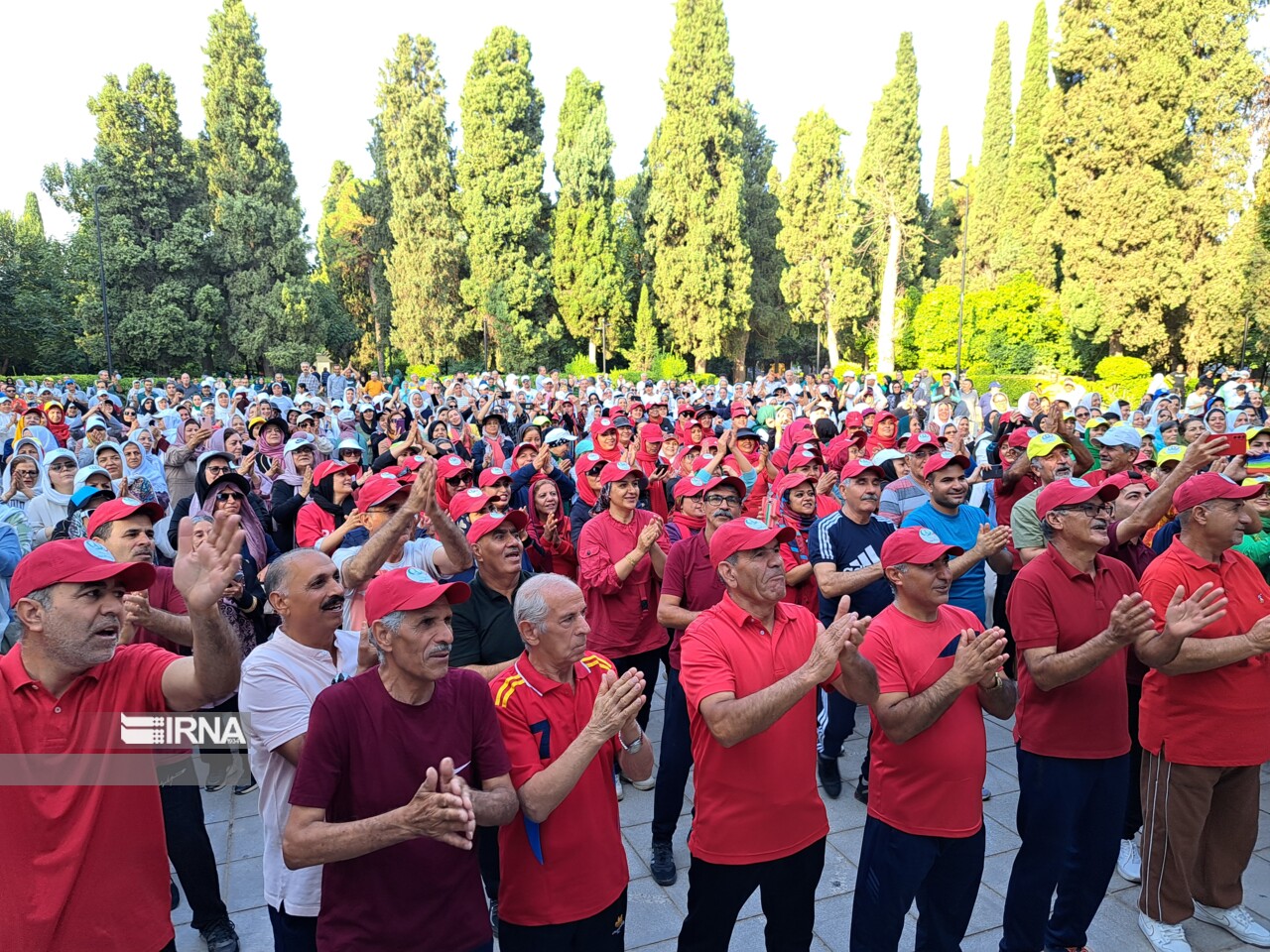نیمی از سالمندان دچار پوکی استخوان هستند/حداقل در حد پیادهروی ورزش کنید نیمی از سالمندان دچار پوکی استخوان هستند/حداقل در حد پیادهروی ورزش کنید
