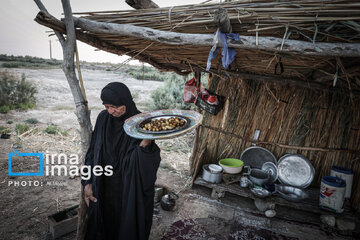 Des Mawkibs du pèlerinage d'Arbaïne à la frontière iranienne de Chazabeh