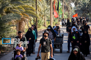 Marche d’Arbaeen - Route Tariq al-Ulama