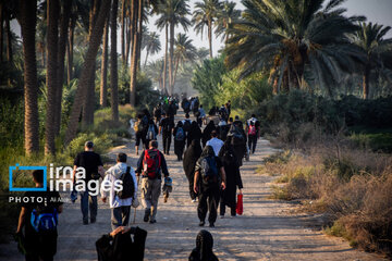 Marche d’Arbaeen - Route Tariq al-Ulama