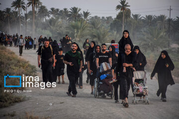 Marcha de Arbaín, ruta de Tariq al-Ulama