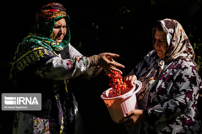 کلیبر منطقهای بکر با ظرفیتهای ناشناخته گردشگری