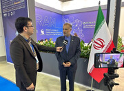 Free trade agreement with EAEU to benefit exporters: Iran envoy