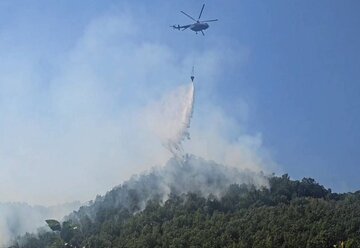 آتش سوزی در جنگل‌های روستای باشماق مریوان ادامه دارد