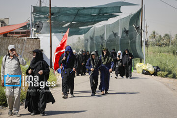 La marche religieuse Arbaeen en Irak