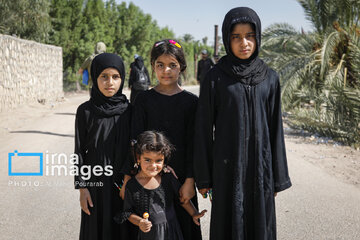 La marche religieuse Arbaeen en Irak