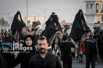 La marche religieuse Arbaeen en Irak