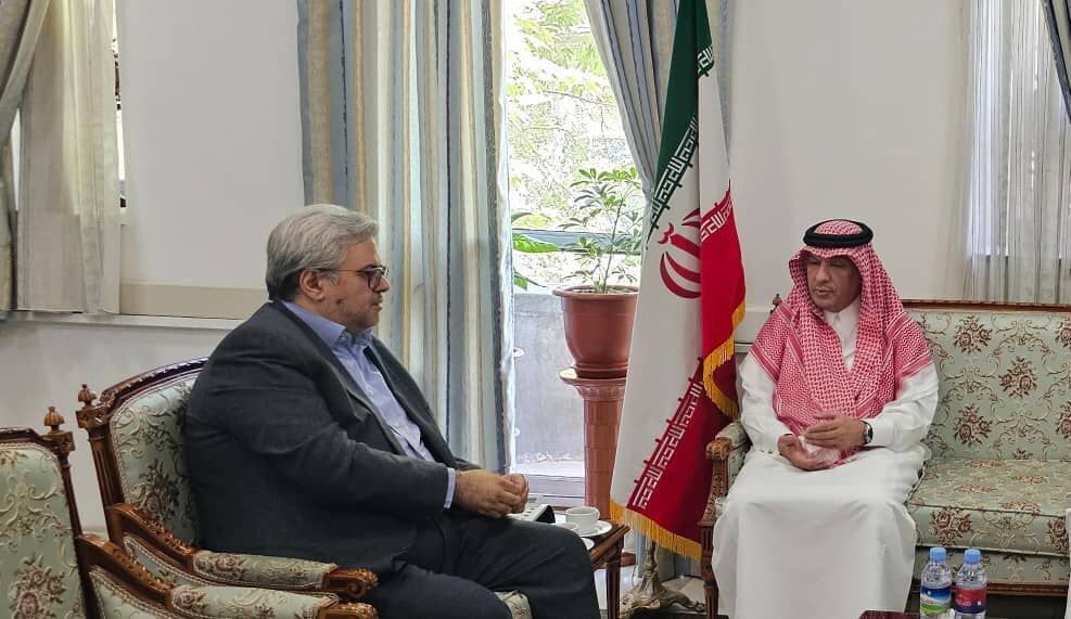 2 Iranian Hajj pilgrims to be released soon: Saudi envoy