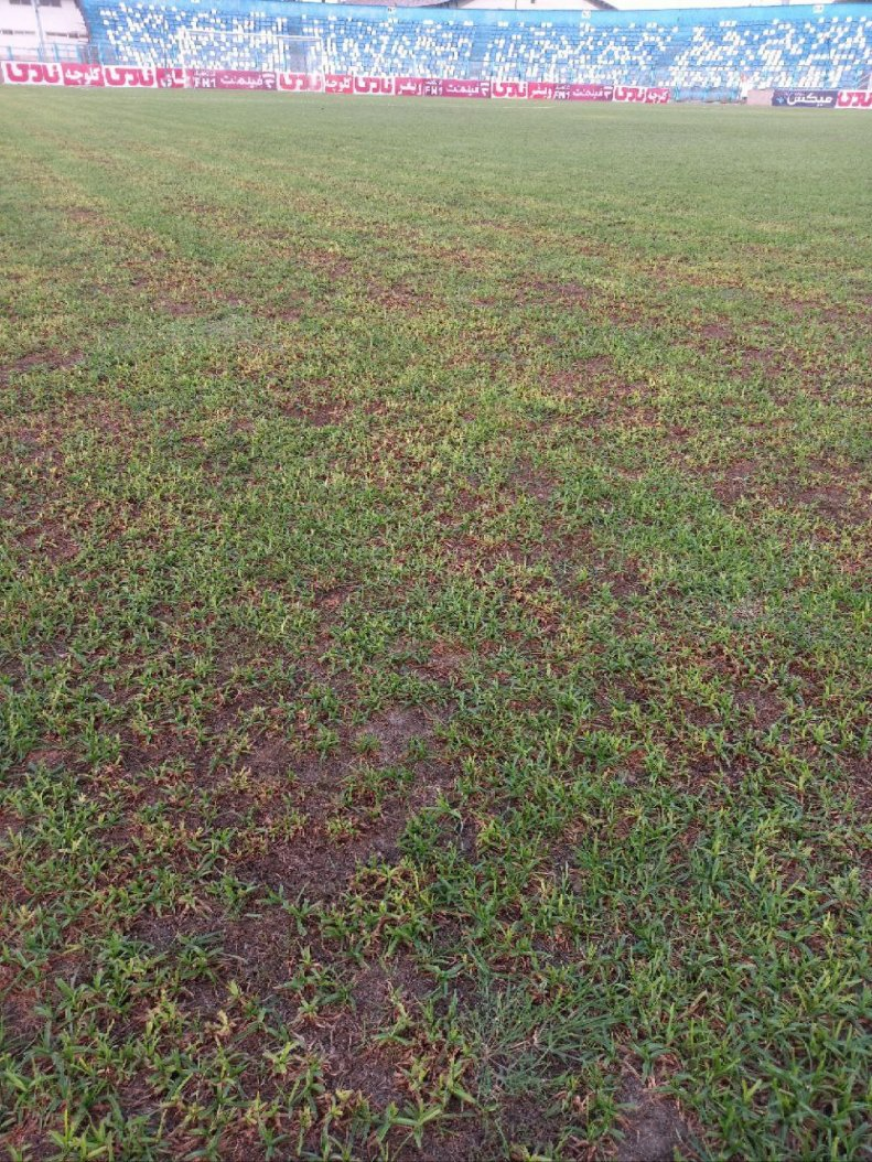 عجیبترین لیگ حرفهای جهان؛ میزبانهای ناخوانده!