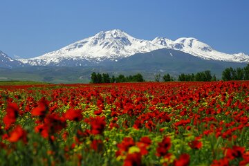 رویدادهای گردشگری استان اردبیل تدوین شد