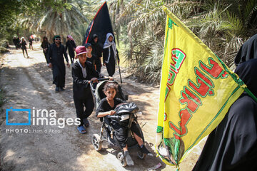 Marche d'Arbaeen:  route de Divaniyeh