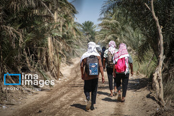 Marche d'Arbaeen:  route de Divaniyeh