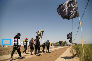 Marche d'Arbaeen:  route de Divaniyeh