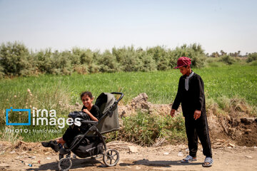 Marche d'Arbaeen:  route de Divaniyeh