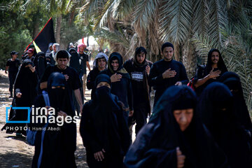 Marche d'Arbaeen:  route de Divaniyeh